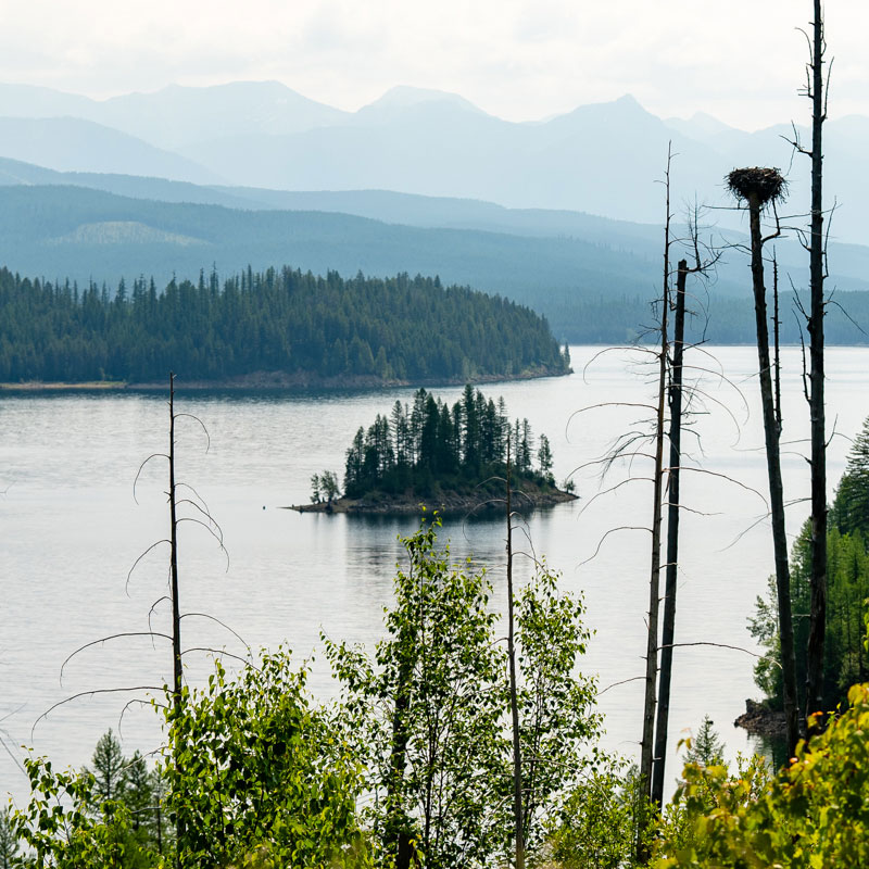 UTV ATV side by side outdoor trips hungry horse, kalispell flathead valley mt gallery